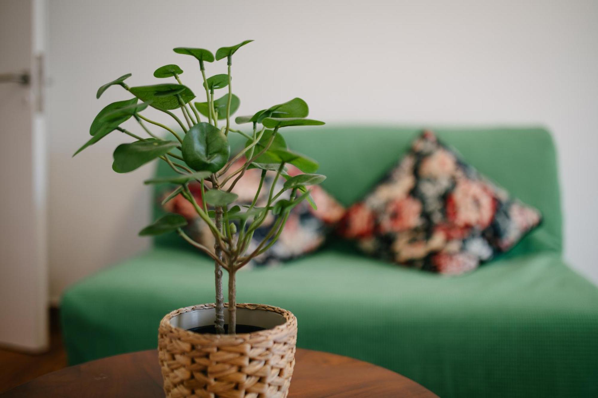 Zen Sofokleous In Psiri Apartment